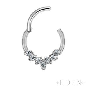 Titanium Wreath CZ Hinged Segment