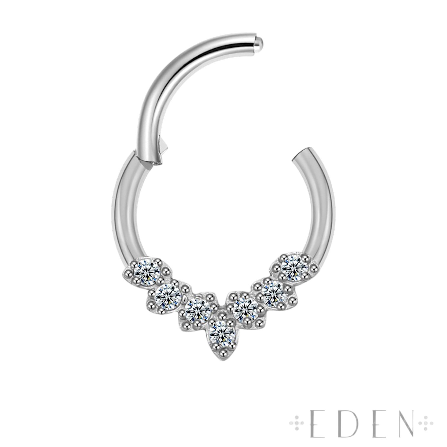 Titanium Wreath CZ Hinged Segment